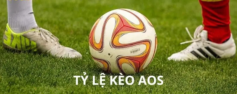 Cách đặt cược kèo AOS nhà cái Rik88